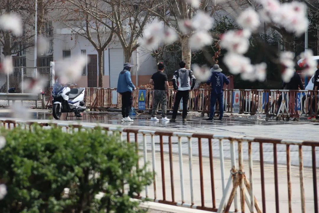 IMG_6886.JPG 图片